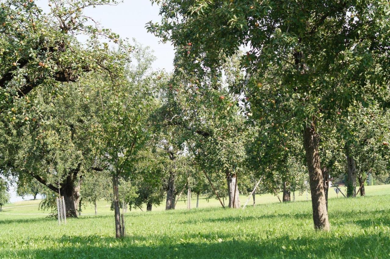 Apartamento Im Obstgarten