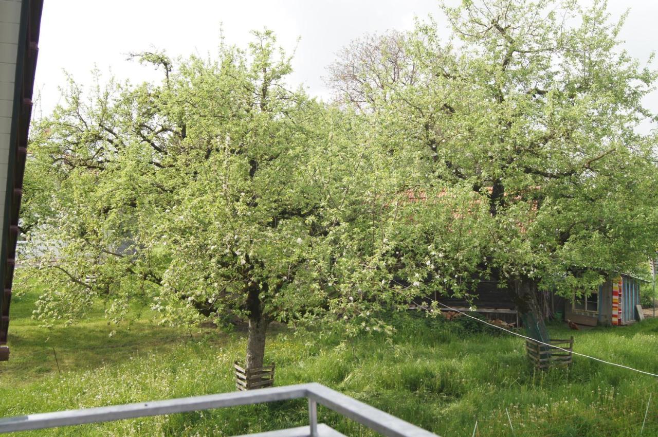 Im Obstgarten Achberg