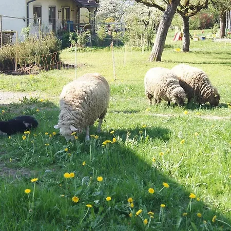 Ferienwohnung Im Obstgarten Achberg Exterior photo