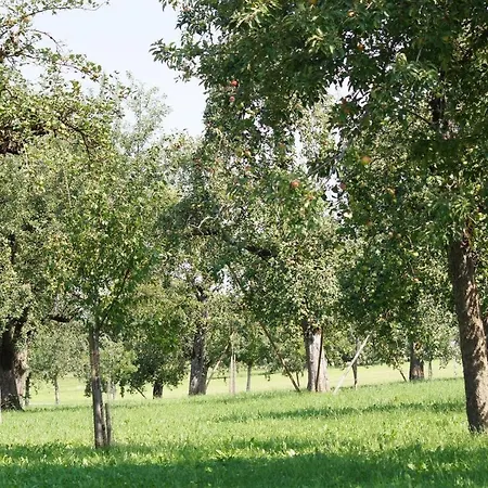 Ferienwohnung Im Obstgarten Achberg Exterior photo