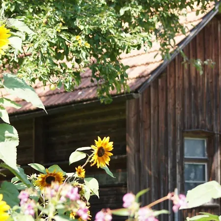 Ferienwohnung Im Obstgarten Achberg Exterior photo