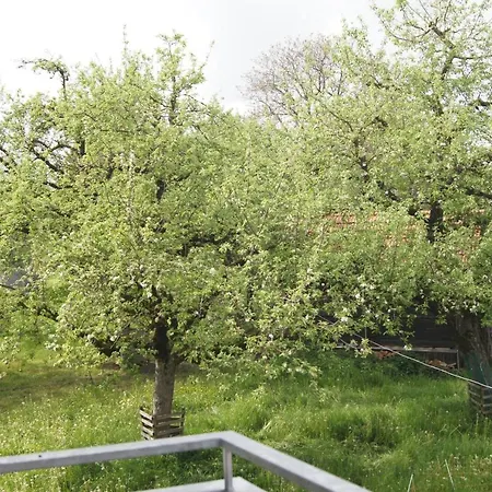 Ferienwohnung Im Obstgarten Achberg Exterior photo