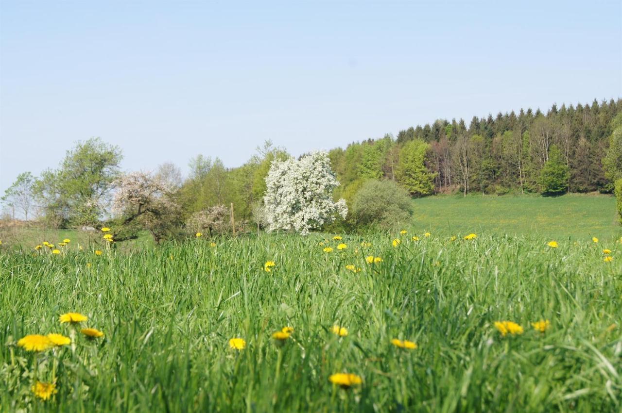 Apartment Im Obstgarten
