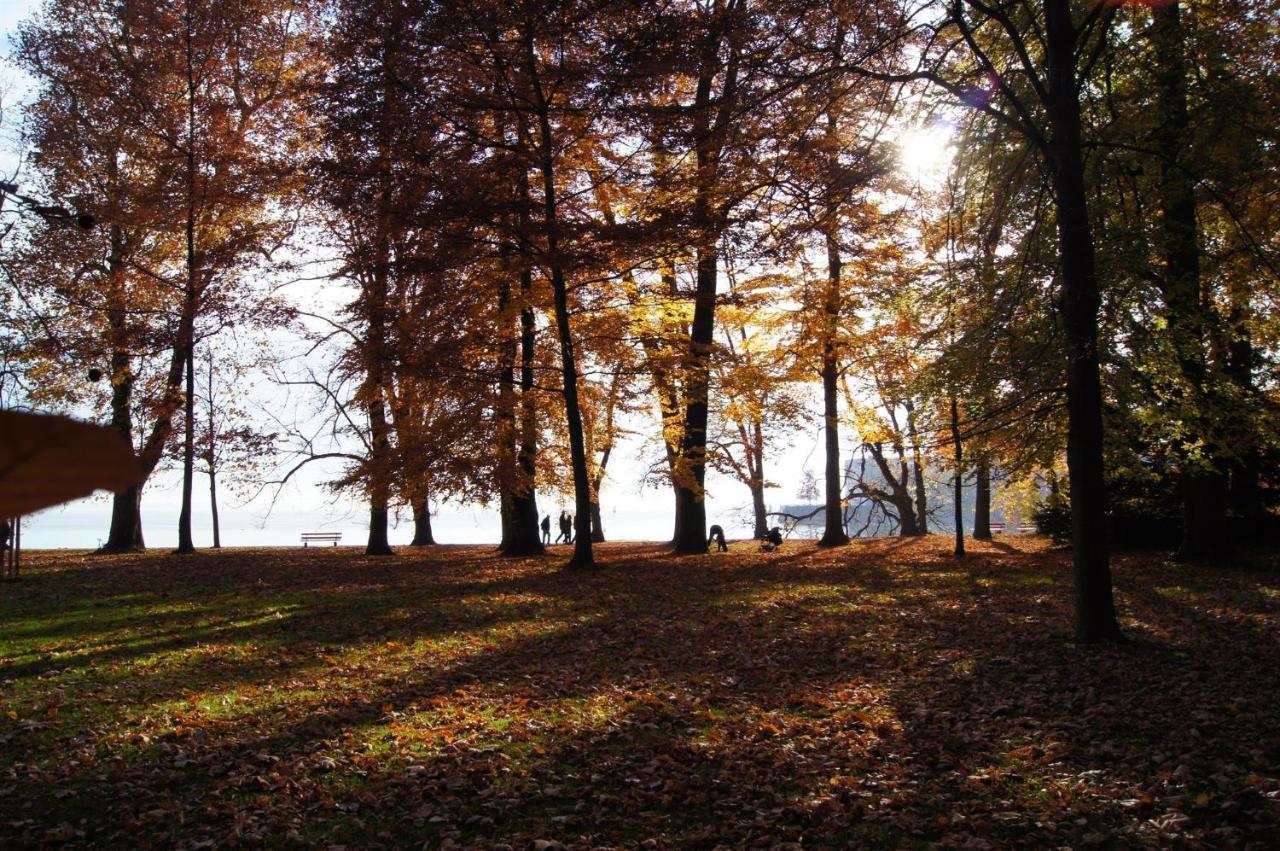 Im Obstgarten Achberg